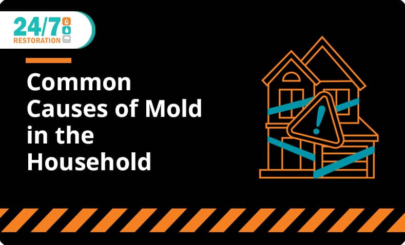 24_7 Restoration - Blog - Common Causes of Mold in the Household